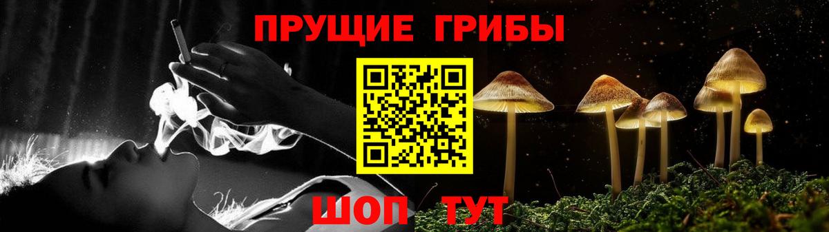 Псилоцибиновые грибы Psilocybe Назрань